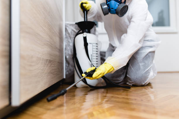 Best Cockroach Control Services  in Cache, OK
