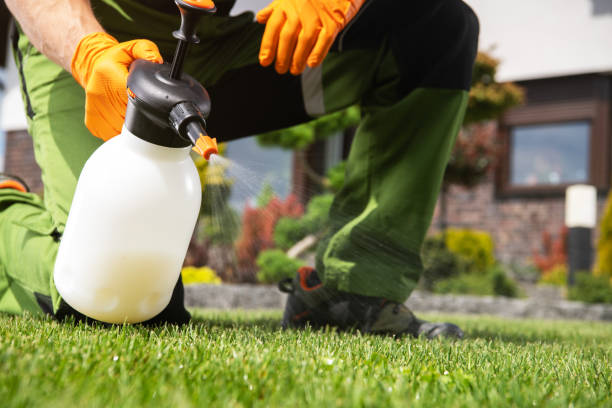Best Local Pest Control Services  in Cache, OK