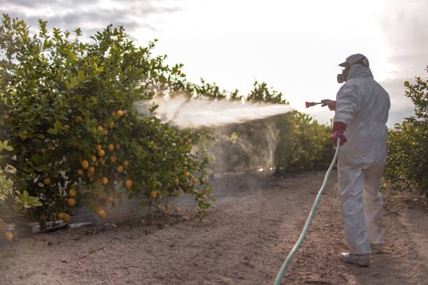 Best Commercial Pest Control Services  in Cache, OK