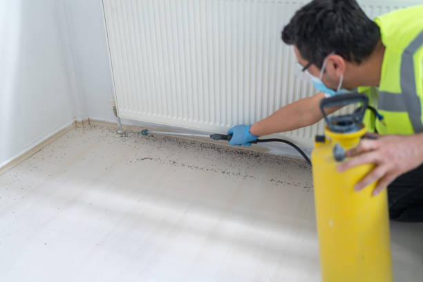 Best Pest Inspection Near Me  in Cache, OK